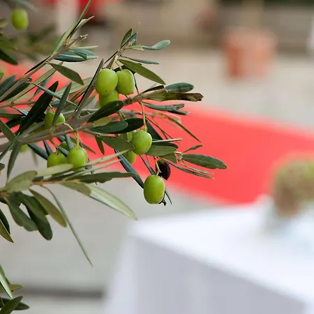 Nh La Avanzada Hotell