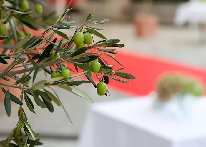 Nh La Avanzada Hotel